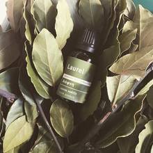 Organic Greek Laurel Essential Oil 15ml