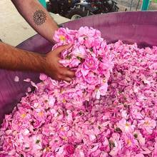 Load image into Gallery viewer, Organic Greek Rose Hydrolat 100ml SOLD OUT