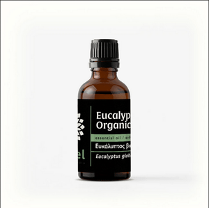 Eucalyptus Organic Essential Oil 15ml
