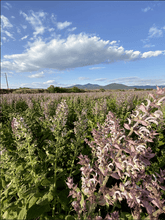 Load image into Gallery viewer, Organic Greek Clary Sage Essential Oil 15ml LAST ONE