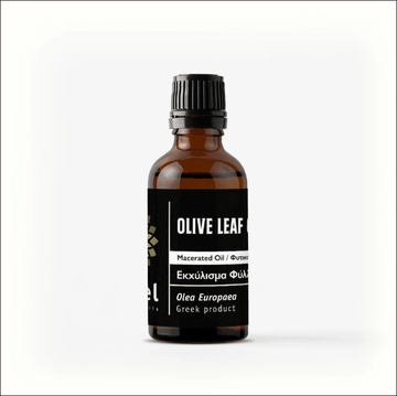 Olive Leaf Macerated Oil 100ml