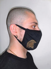Load image into Gallery viewer, Cotton Masks Greek Themed